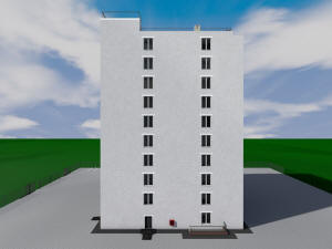      81 